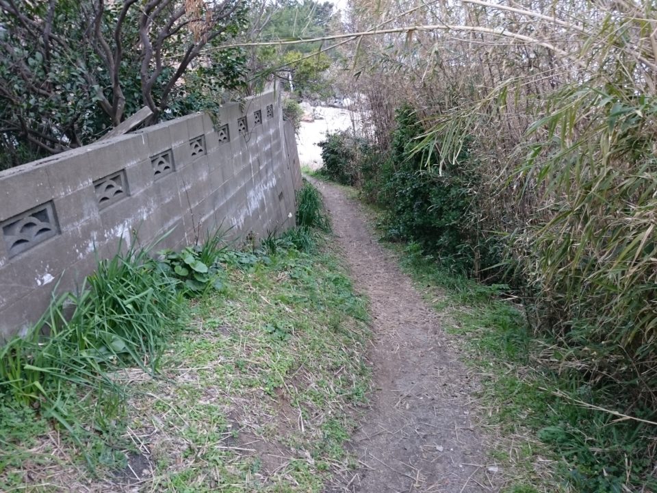 箱島神社へ続く道