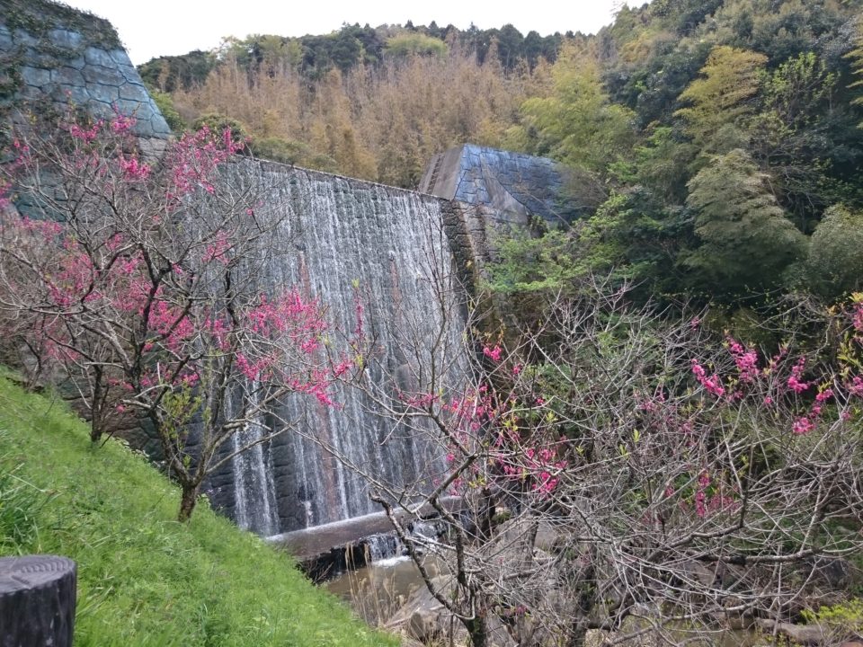 ゆらりんこ橋　滝